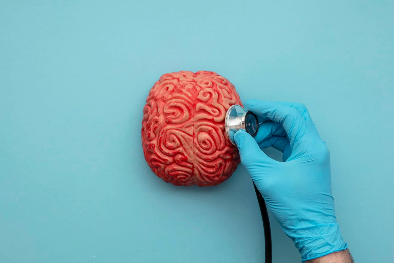 תמונה ראשית של מוח אדם וסטטוסקופ ברקע כחול